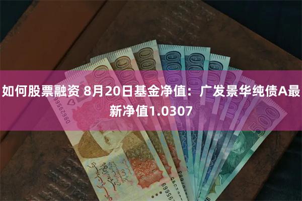 如何股票融资 8月20日基金净值：广发景华纯债A最新净值1.0307