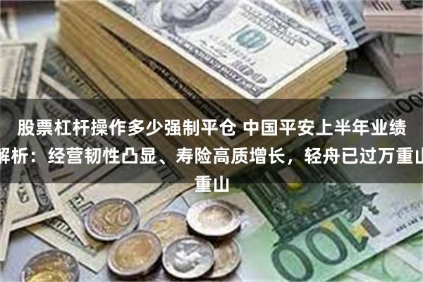 股票杠杆操作多少强制平仓 中国平安上半年业绩解析：经营韧性凸显、寿险高质增长，轻舟已过万重山