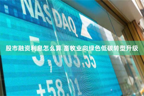 股市融资利息怎么算 畜牧业向绿色低碳转型升级