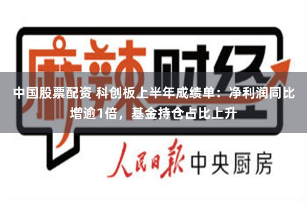 中国股票配资 科创板上半年成绩单：净利润同比增逾1倍，基金持仓占比上升