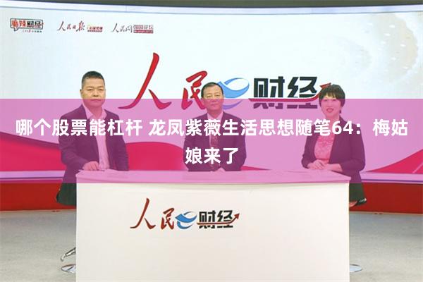 哪个股票能杠杆 龙凤紫薇生活思想随笔64：梅姑娘来了