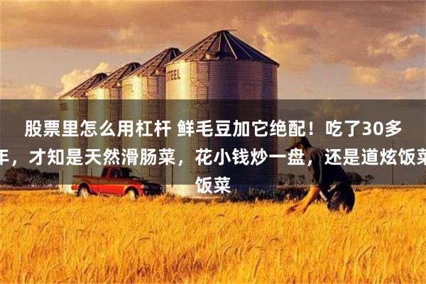股票里怎么用杠杆 鲜毛豆加它绝配！吃了30多年，才知是天然滑肠菜，花小钱炒一盘，还是道炫饭菜