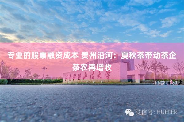 专业的股票融资成本 贵州沿河：夏秋茶带动茶企茶农再增收