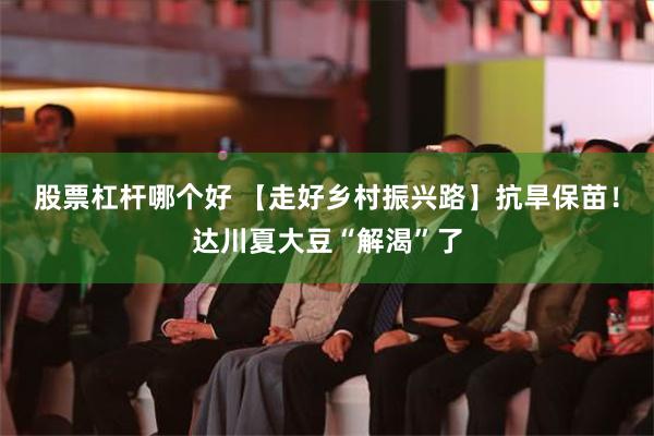 股票杠杆哪个好 【走好乡村振兴路】抗旱保苗！达川夏大豆“解渴”了