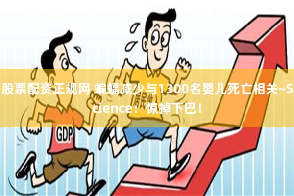 股票配资正规网 蝙蝠减少与1300名婴儿死亡相关~Science：惊掉下巴！