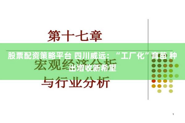 股票配资策略平台 四川威远：“工厂化”育苗 种出增收新希望