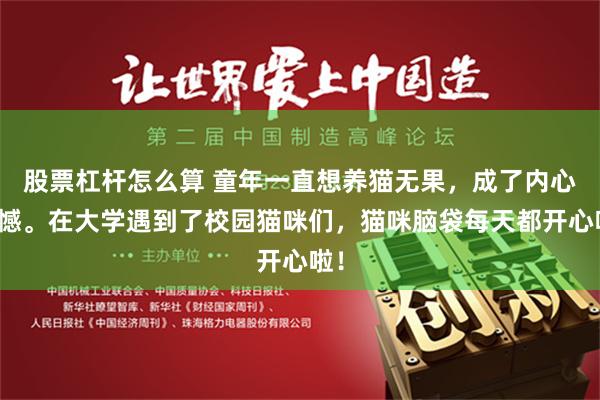 股票杠杆怎么算 童年一直想养猫无果，成了内心遗憾。在大学遇到了校园猫咪们，猫咪脑袋每天都开心啦！