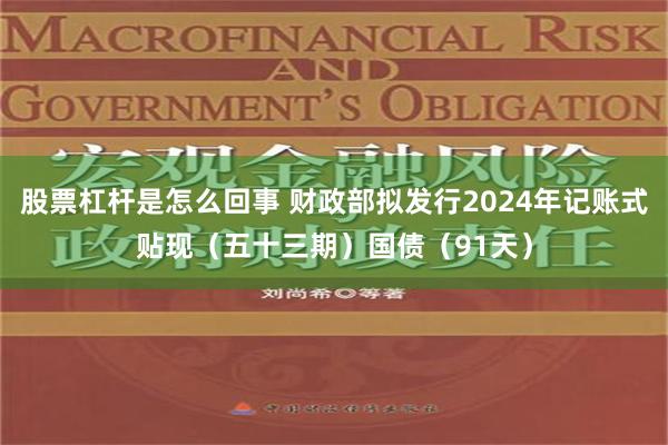 股票杠杆是怎么回事 财政部拟发行2024年记账式贴现（五十三期）国债（91天）