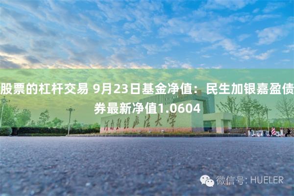 股票的杠杆交易 9月23日基金净值：民生加银嘉盈债券最新净值1.0604