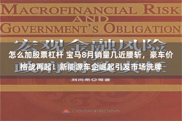 怎么加股票杠杆 宝马8月销量几近腰斩，豪车价格战再起！新能源车企崛起引发市场洗牌