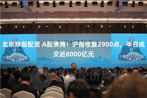 北京炒股配资 A股沸腾！沪指收复2900点，半日成交近8000亿元