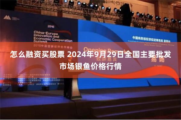 怎么融资买股票 2024年9月29日全国主要批发市场银鱼价格行情