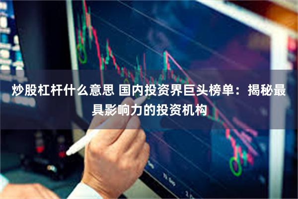 炒股杠杆什么意思 国内投资界巨头榜单：揭秘最具影响力的投资机构