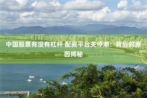 中国股票有没有杠杆 配资平台关停潮：背后的原因揭秘