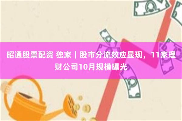 昭通股票配资 独家｜股市分流效应显现，11家理财公司10月规模曝光