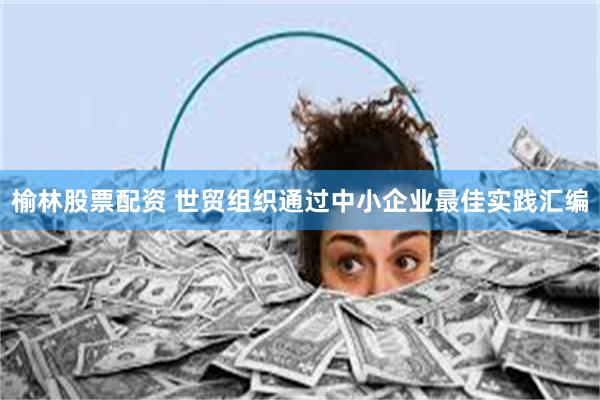 榆林股票配资 世贸组织通过中小企业最佳实践汇编