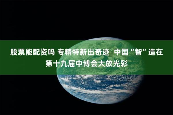 股票能配资吗 专精特新出奇迹  中国“智”造在第十九届中博会大放光彩