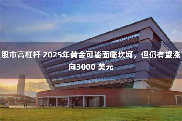 股市高杠杆 2025年黄金可能面临坎坷，但仍有望涨向3000 美元