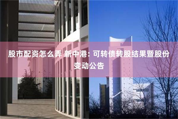 股市配资怎么弄 新中港: 可转债转股结果暨股份变动公告
