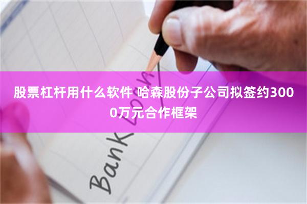 股票杠杆用什么软件 哈森股份子公司拟签约3000万元合作框架