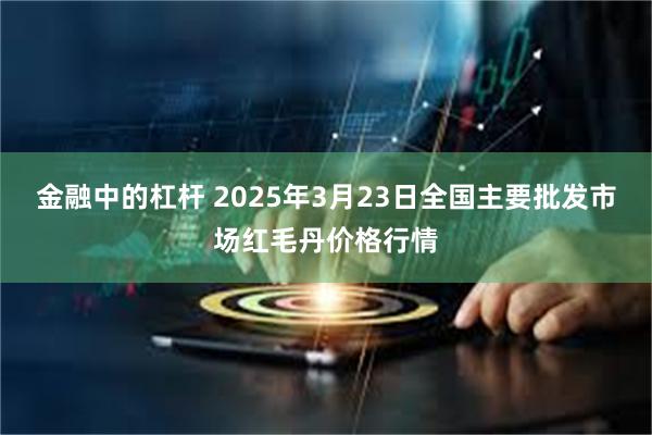 金融中的杠杆 2025年3月23日全国主要批发市场红毛丹价格行情