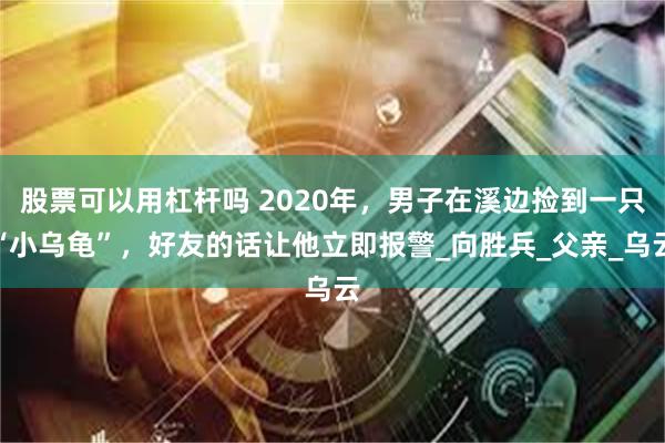 股票可以用杠杆吗 2020年，男子在溪边捡到一只“小乌龟”，好友的话让他立即报警_向胜兵_父亲_乌云