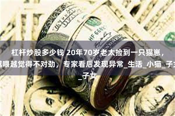 杠杆炒股多少钱 20年70岁老太捡到一只猫崽，越喂越觉得不对劲，专家看后发现异常_生活_小猫_子女