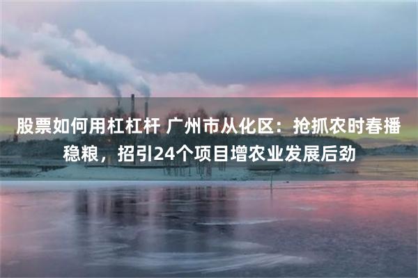 股票如何用杠杠杆 广州市从化区：抢抓农时春播稳粮，招引24个项目增农业发展后劲