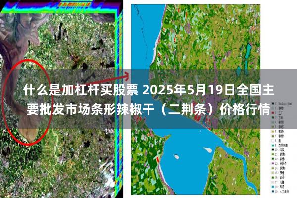 什么是加杠杆买股票 2025年5月19日全国主要批发市场条形辣椒干（二荆条）价格行情