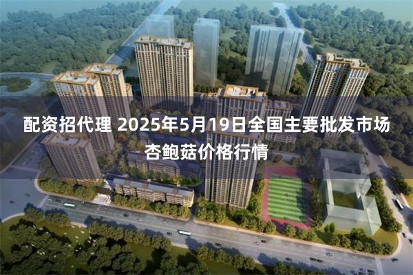 配资招代理 2025年5月19日全国主要批发市场杏鲍菇价格行情