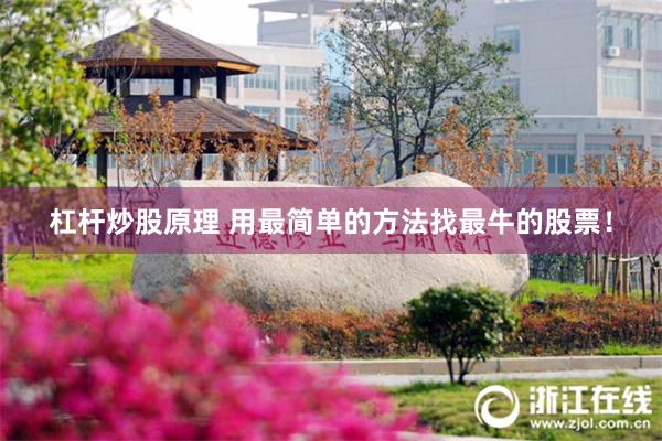 杠杆炒股原理 用最简单的方法找最牛的股票！
