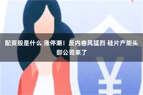 配资股是什么 涨停潮！反内卷风猛烈 硅片产能头部公司来了