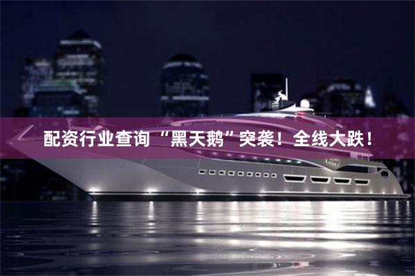 配资行业查询 “黑天鹅”突袭！全线大跌！