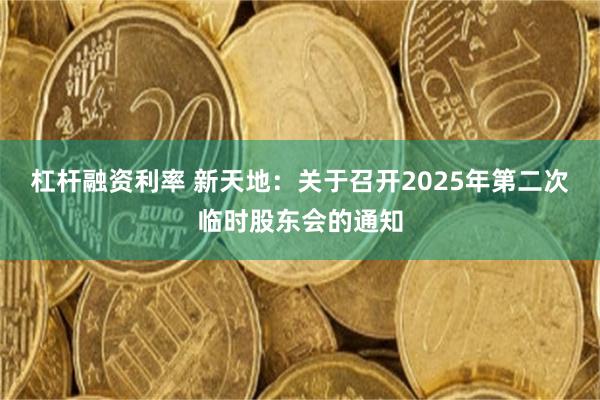 杠杆融资利率 新天地：关于召开2025年第二次临时股东会的通知